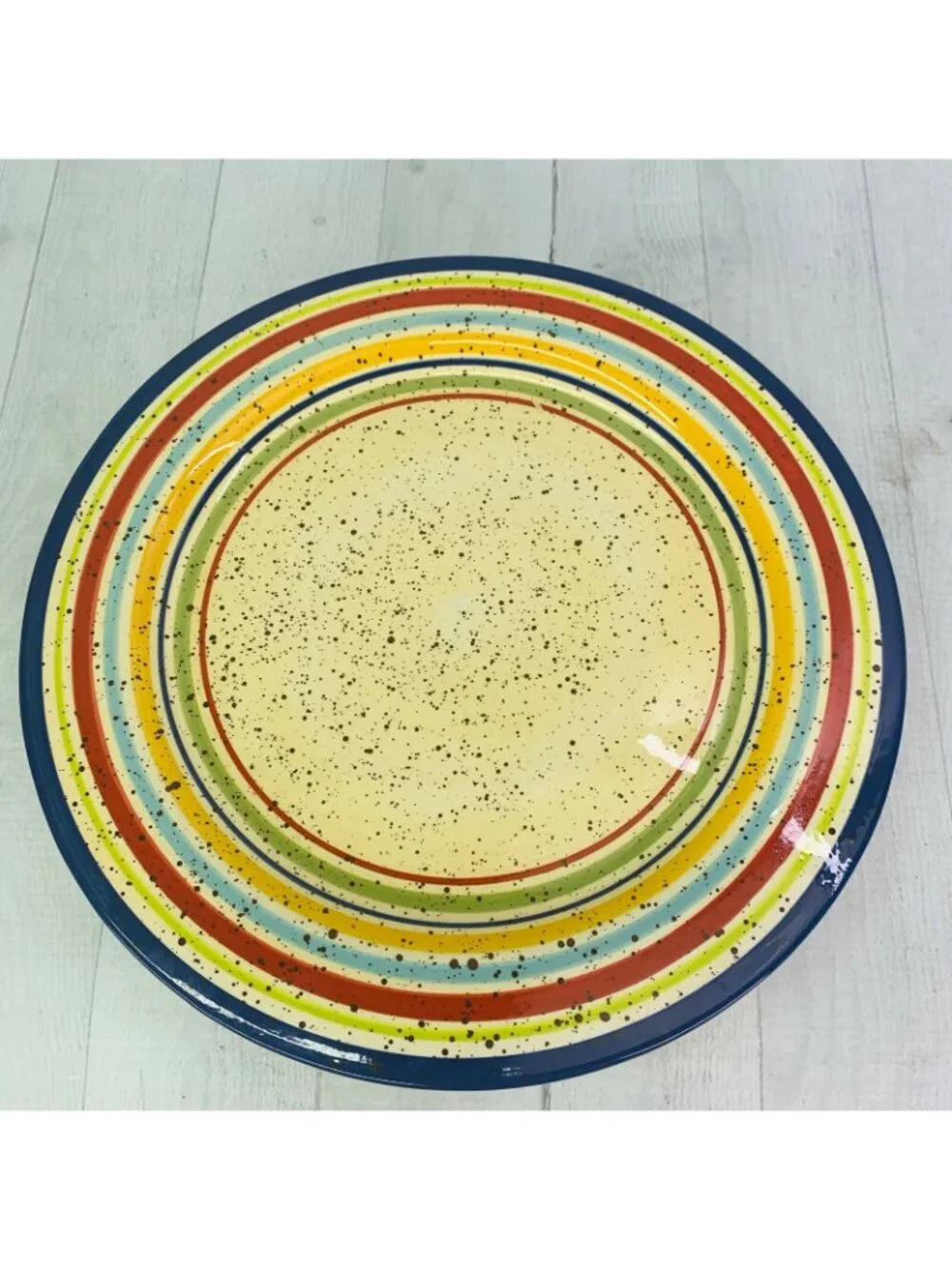 Pfaltzgraff SEDONA Stoneware Hand Paint Stripe Speckle Round Dinner Plates Set 4